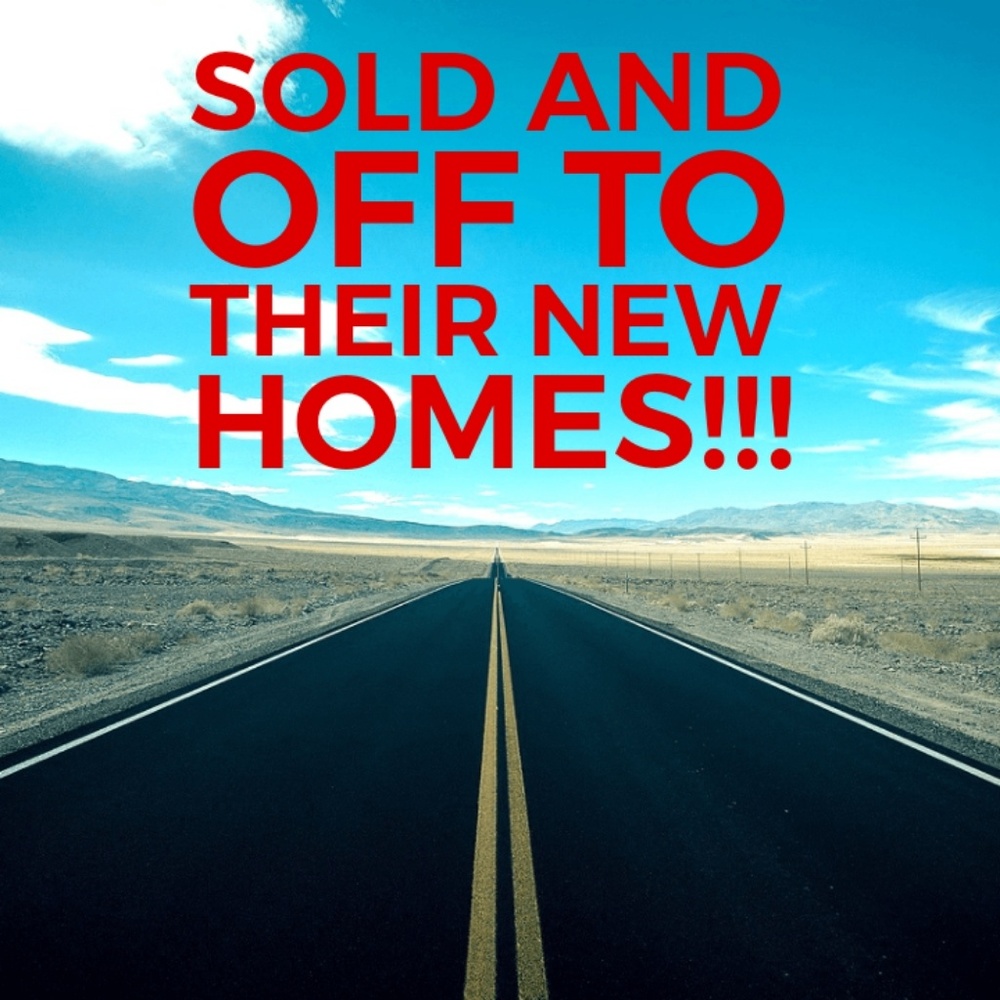 *** Everything sold beyond this point ***
